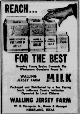 Walling jersey farm milk ad